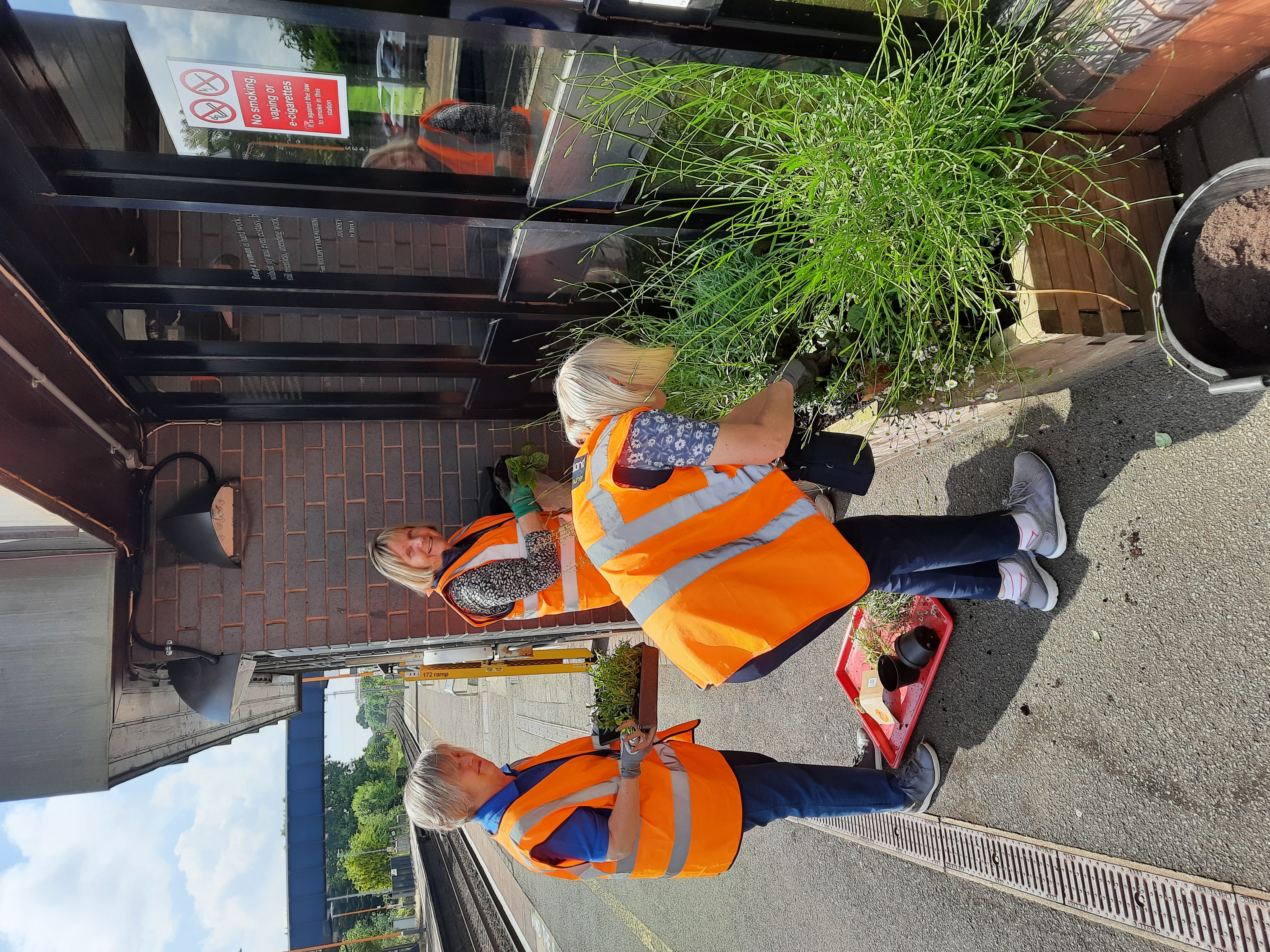 Three volunteer ladies in orange high-vis jackets tend to a planter on the platform at Widney Manor Station