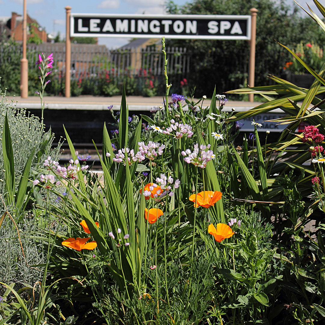 Photo of colourful flowers in the foreground and train tracks and the sign Leamington Spa in the background