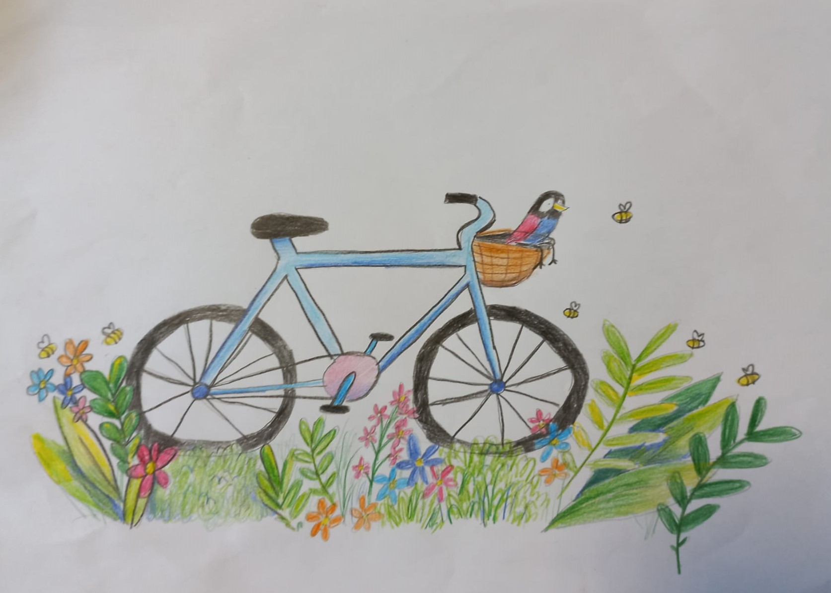 Drawing of a blue bike with a basket on the front. There is a bird in the basket and the bike is surrounded by grass and flowers.