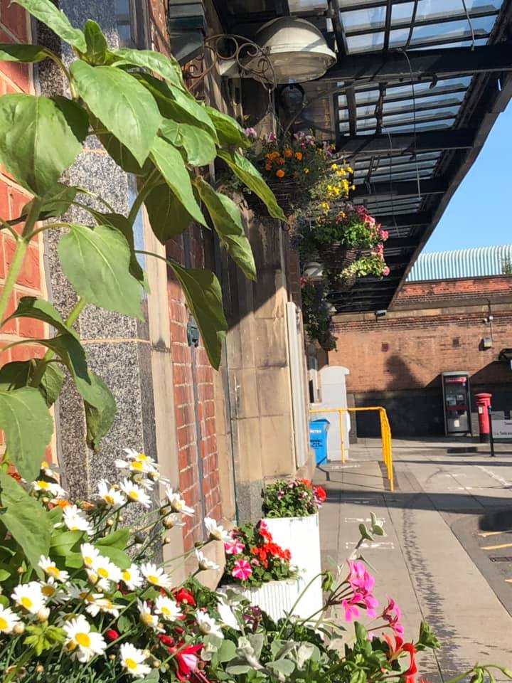 Colourful flowers at the front of Nuneaton Station