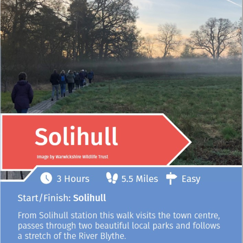 Solihull rail trail information preview