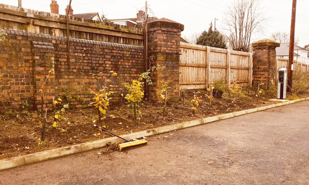 Flowers and plants at Kenilworth station