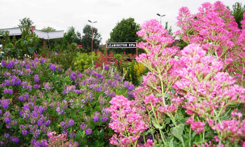 Platform garden in 2009 at Leamington station