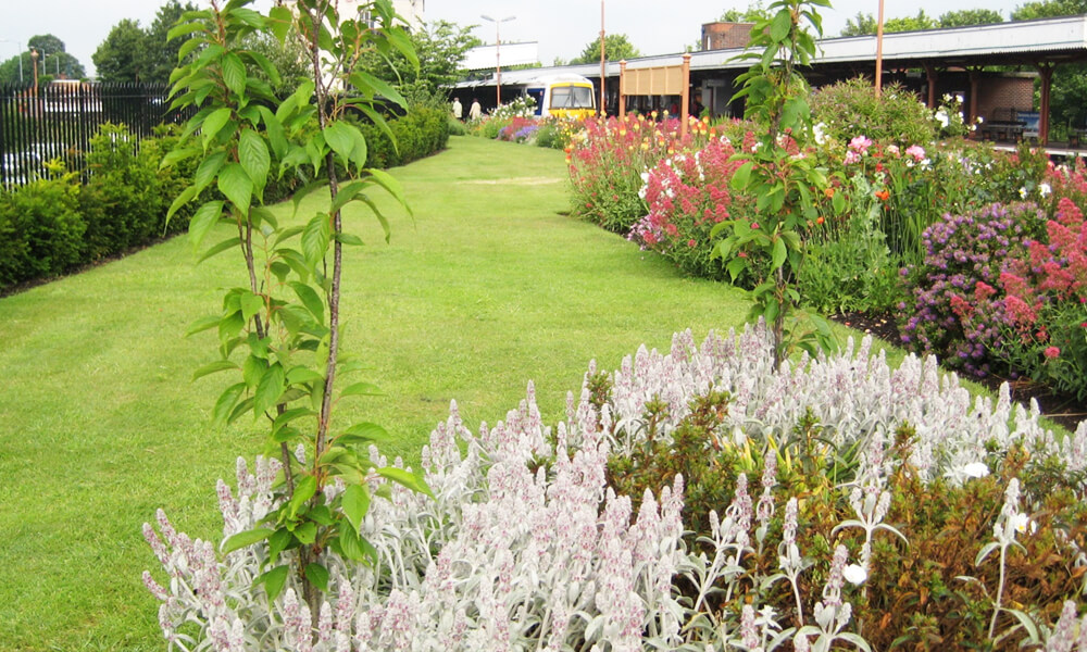 Platform garden after recent improvements at Leamington station