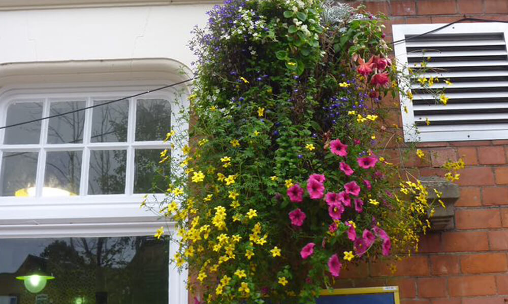 Flowers hanging from wall at Olton station