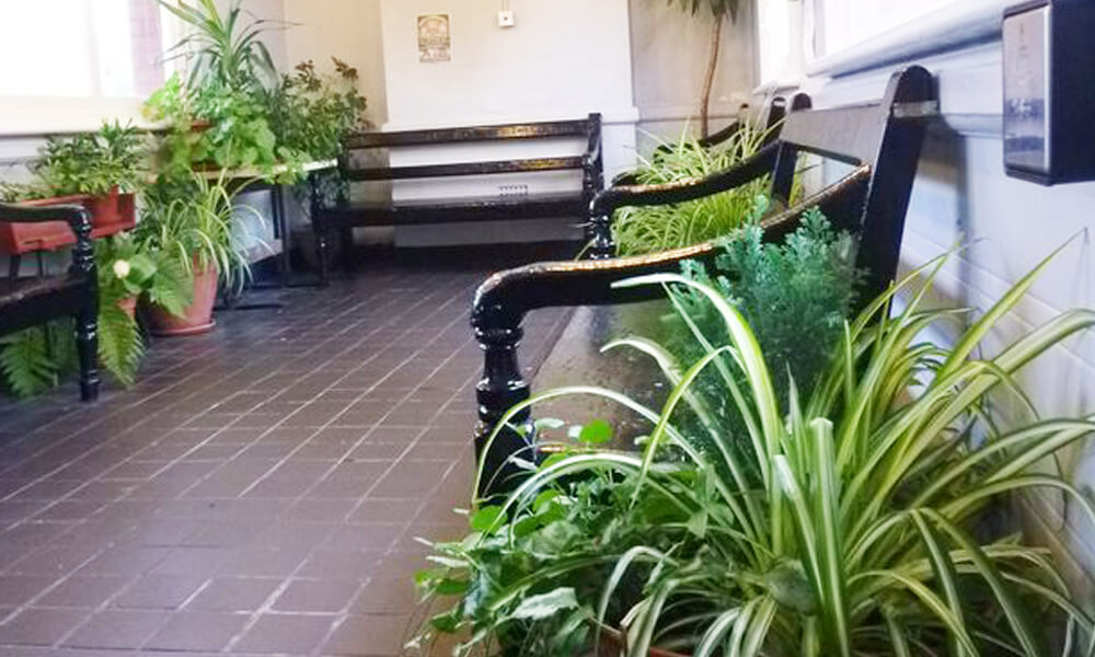 Plants on display in the Olton station waiting room