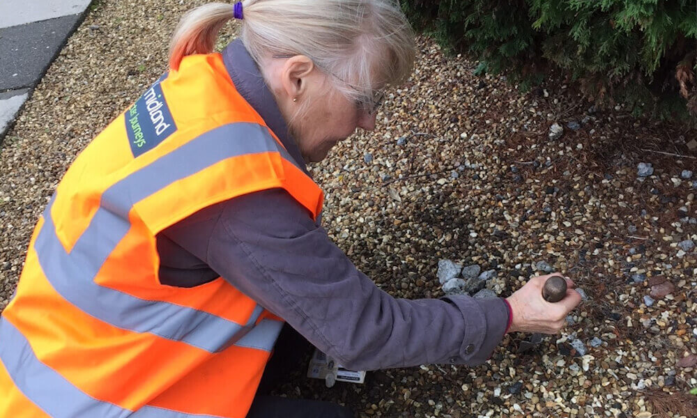 Planting bulbs