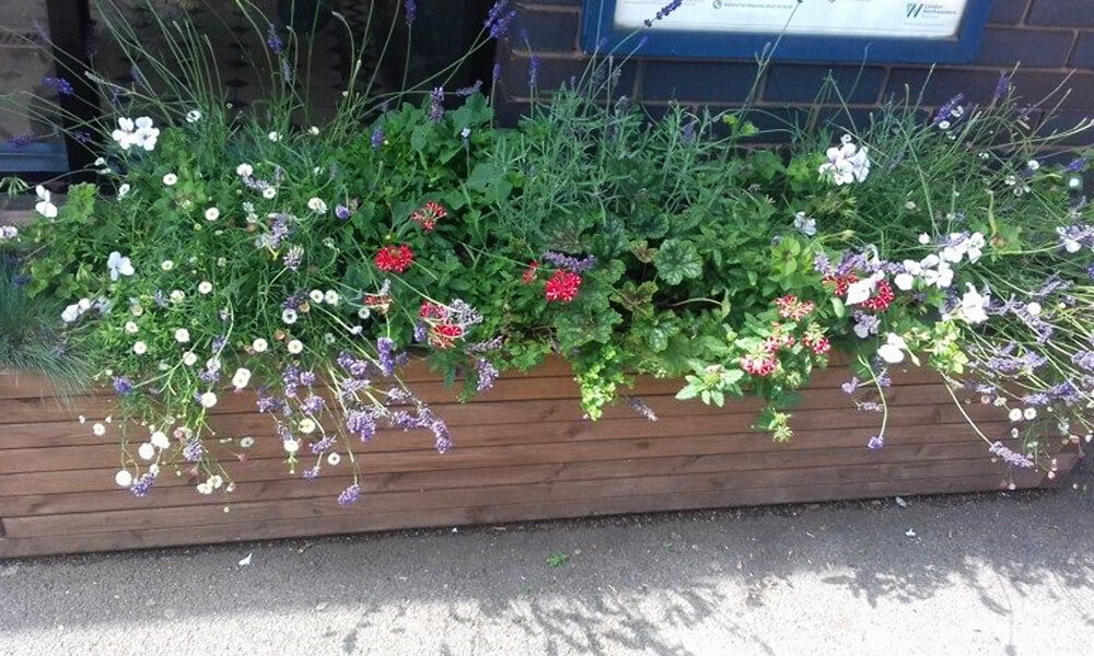 Flowers at Widney manor station